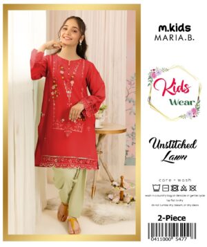 Kids Embroided Dresses