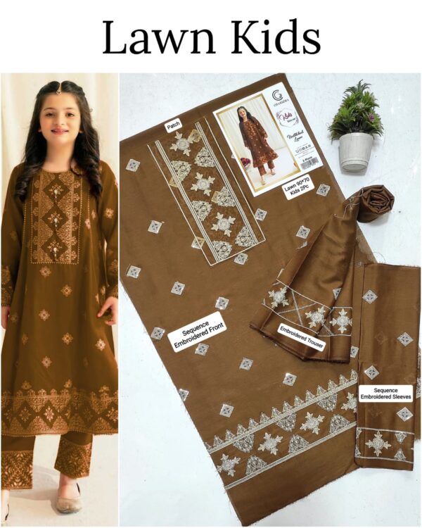 Kids Lawn Embroidered Suit
