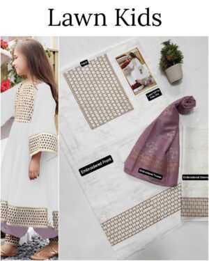 Kids Lawn Embroidered Suit