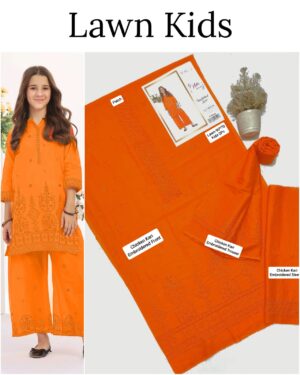 Kids Lawn Embroidered Suit