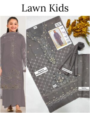 Kids Lawn Embroidered Suit