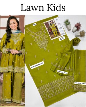 Kids Lawn Embroidered Suit
