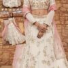 Pakistani net frock