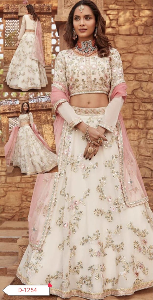 Pakistani net frock