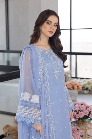 organza embroidered suit