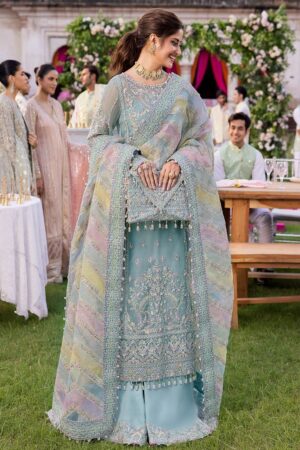 Unstitched Organza Suit