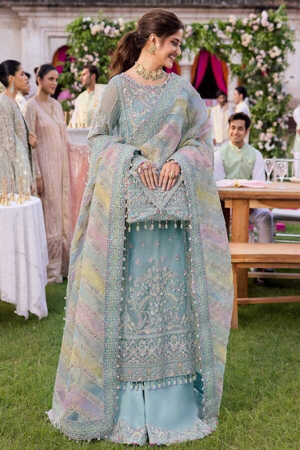 Unstitched Organza Suit