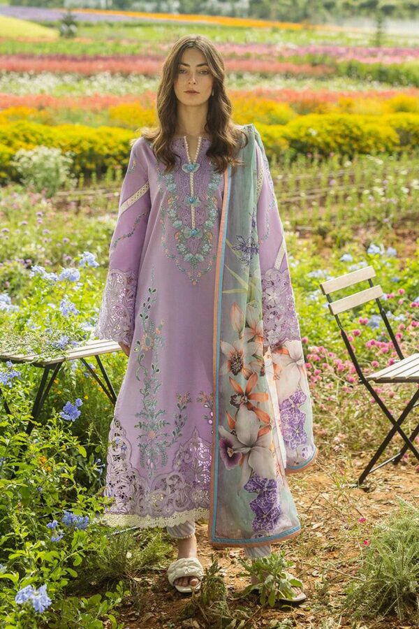 Exclusive Women’s Dhanak Party Suit