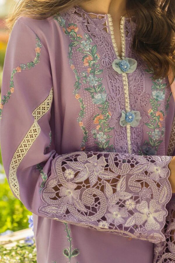 Dhanak fancy suit collection