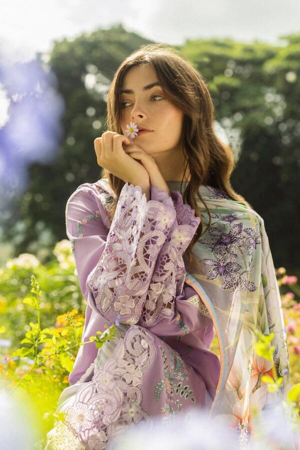 Women Fancy Collection