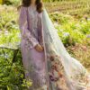 Dhanak Party Wear