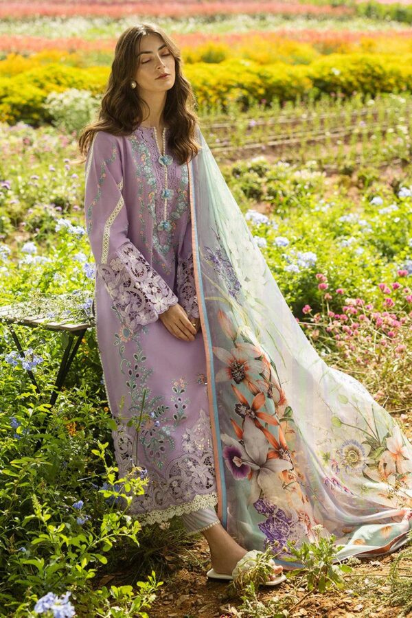 Dhanak Party Wear