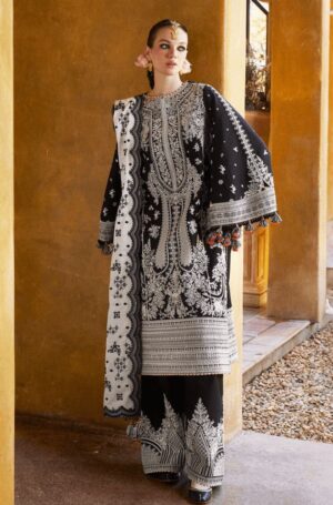 Stylish Dhanak Fancy Suit