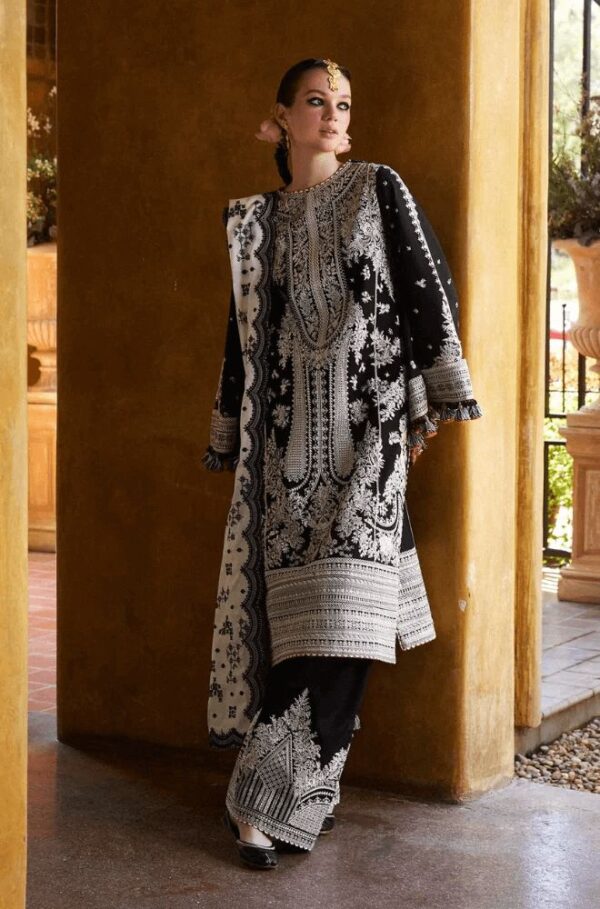 Stylish Dhanak fancy suit