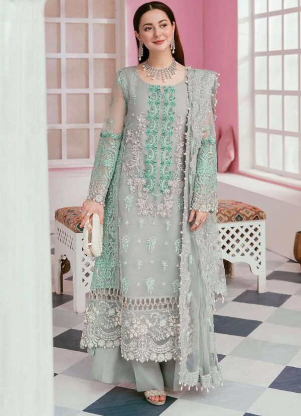 Organza Embroidered Party Wear Suit