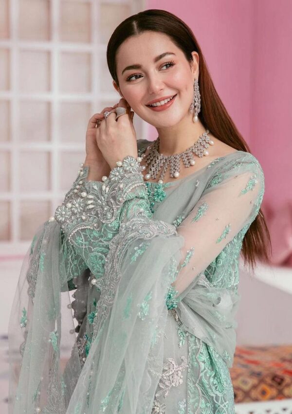 Organza Suit