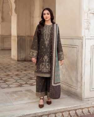 Luxury Women’s Dhanak Party Suit