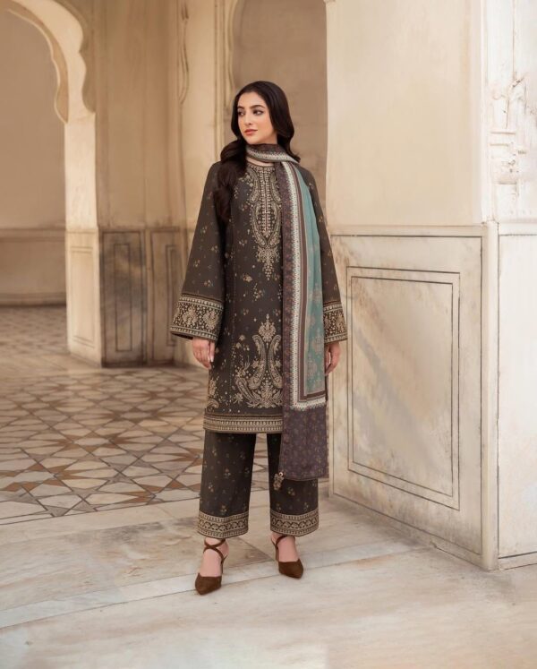 Red dhanak bridal fancy suit