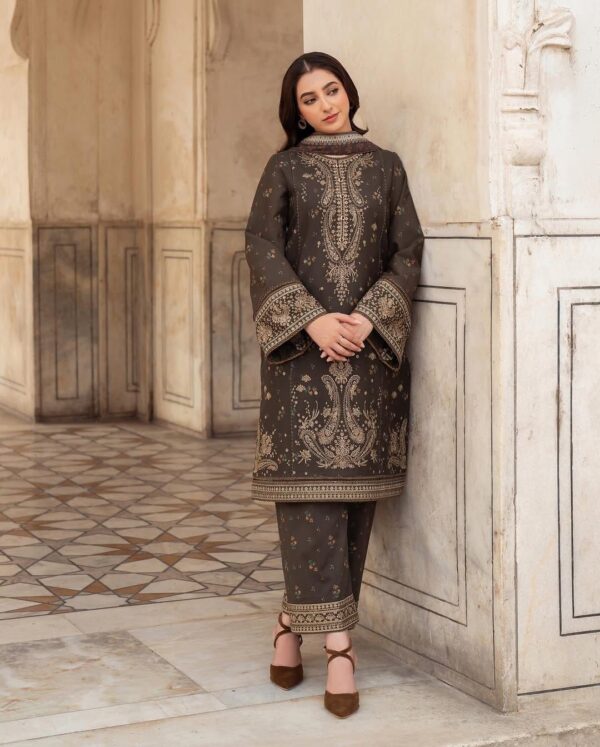 red dhanak suit