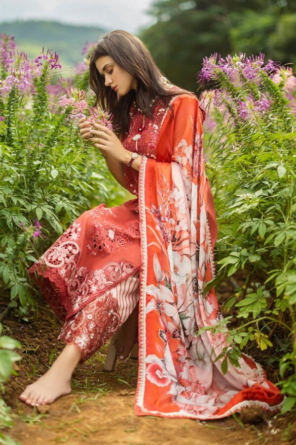 wedding suit dhanak