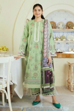 Women’s Dhanak Fancy Party Wear Suit