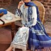 Grey dhanak embroidered fancy wear