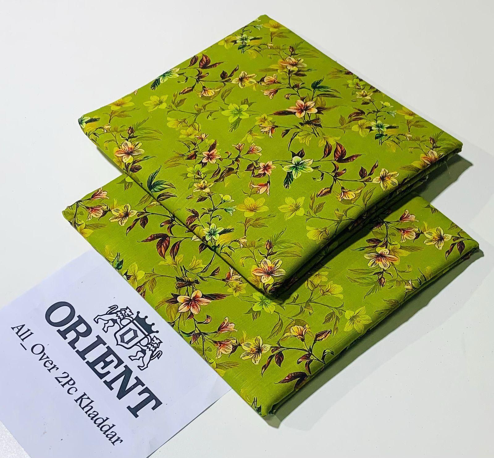 Winter khaddar 2PC dress for women